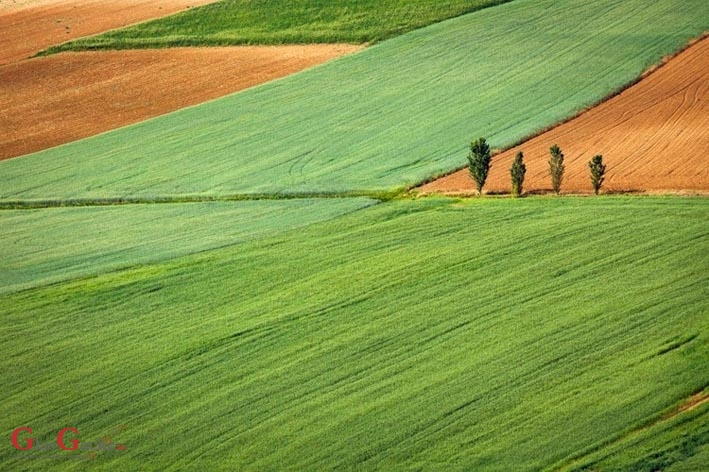 U e-savjetovanju provedba izravne potpore poljoprivredi i IAKS mjera ruralnog razvoja U e-savjetovanju provedba izravne potpore poljoprivredi i IAKS mjera ruralnog razvoja