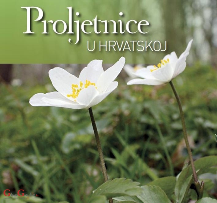 Jeste li vidjeli proljetnice?