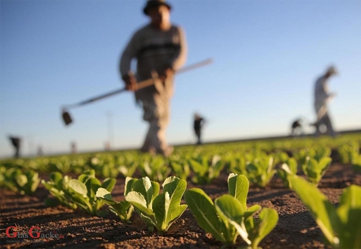 Započelo dostavljanje odluka preko AGRONET-a