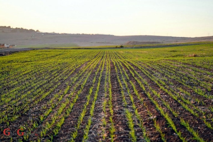 Javni poziv za provedbu Programa potpore za provedbu proljetne sjetve/sadnje u 2026. g. Javni poziv za provedbu Programa potpore za provedbu proljetne sjetve/sadnje u 2026. g.