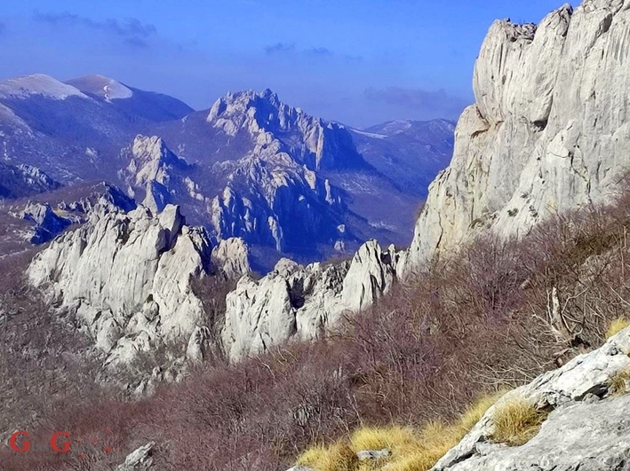 Dvije osobe poginule u padu ultralakog zrakoplova Dvije osobe poginule u padu ultralakog zrakoplova