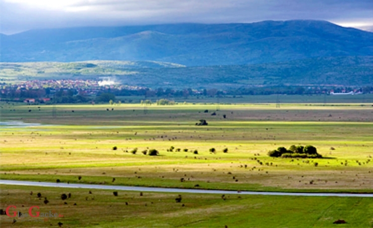 Poljoprivrednicima isplaćeno 83 milijuna eura za izravna plaćanja i IAKS mjere Poljoprivrednicima isplaćeno 83 milijuna eura za izravna plaćanja i IAKS mjere