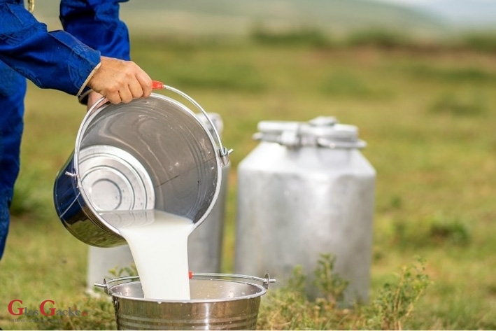 Program potpore malim mljekarama za sufinanciranje nabave opreme za sabiranje mlijeka 
