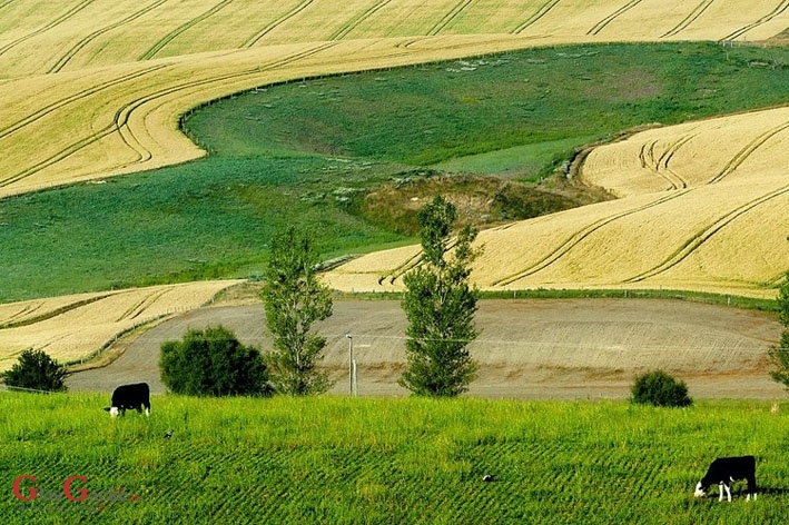 Produženje roka za isplatu