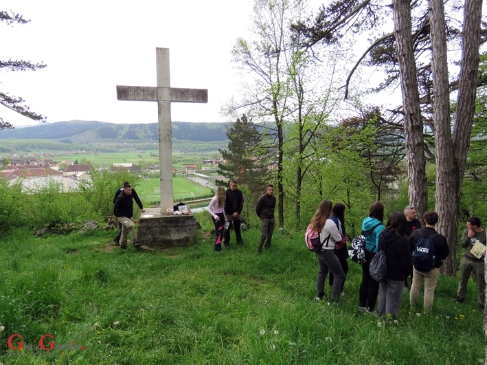 Šumski putovi kao mistične turističke staze 