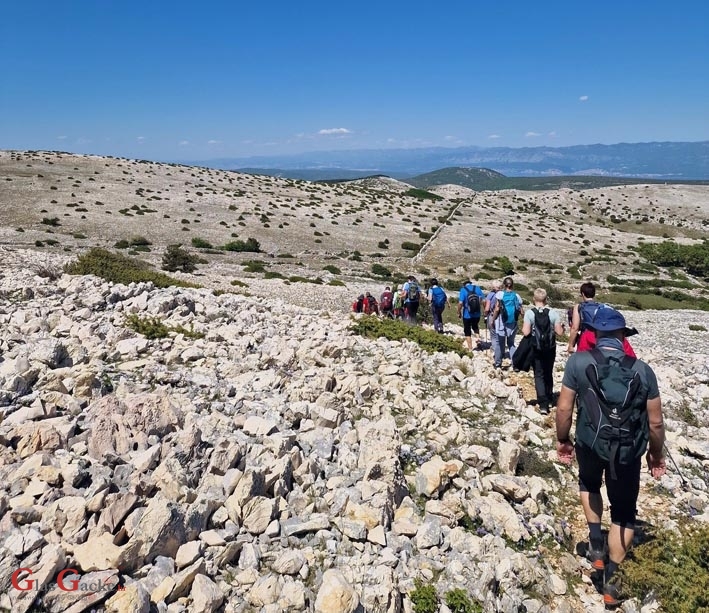 Nevjerojatan uspjeh Dominika Sedlara na Beverly Hills Film Festivalu
