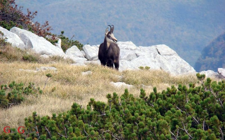  PP Velebit – Prirodna atrakcija godine