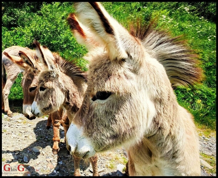 Još 10 dana do kraja RuralFoto nominacija