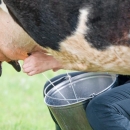 Pet programa potpore za stočarstvo