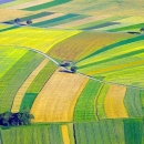 Isplata potpora se nastavlja