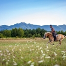 Turističke brojke u porastu u LSŽ