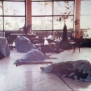 Htjeli to pripisati Hrvatima  - 9. kolovoza 1995.u Dvoru pobijeni mentalni bolesnici