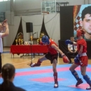 Odigran Memorijalni kickboxing kup Damir Tomljanović – Gavran