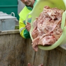 5 milijuna kuna za zbrinjavanje nusproizvoda životinjskog podrijetla 