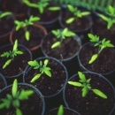 Potpora za očuvanje, održivo korištenje i razvoj genetskih izvora u poljoprivredi za biljne genetske resurse