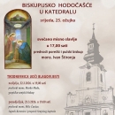 Biskupijsko hodočašće u katedralu za Blagovijesti