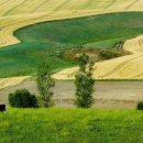 Produženje roka za isplatu