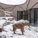 Otvoren Speleon – nova atrakcija u Rakovici