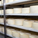 Potpore za modernizaciju mini sirana