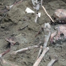 Vlada pokreće znanstveni projekt Žrtve ratova i državnog/političkog nasilja u hrvatskoj povijesti 20. stoljeća