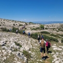 Planinarska nedjelja na Krku