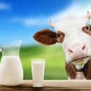 Održan sastanak s predstavnicima sektora mljekarstva