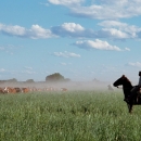  Savjetovanje za mlade poljoprivrednike