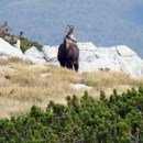  PP Velebit – Prirodna atrakcija godine