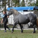 Rezultati 3. izložbe hrvatskog hladnokrvnjaka LSŽ