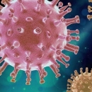 Na koronu smo skoro i zaboravili 