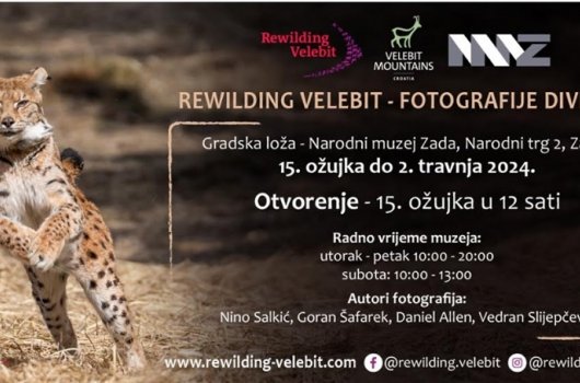 „Rewilding Velebit – fotografije divljine“ u Zadru