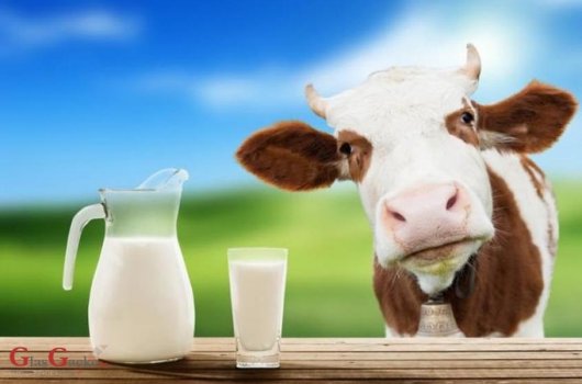 Održan sastanak s predstavnicima sektora mljekarstva
