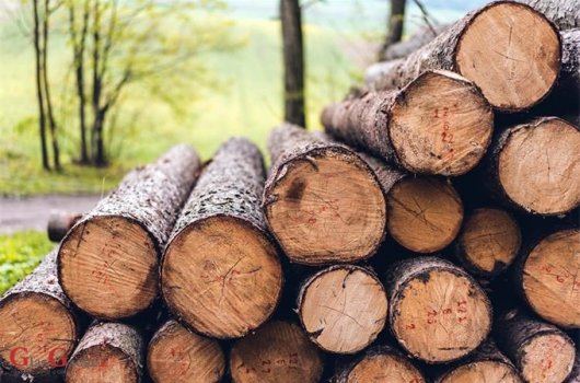 Poticajne mjere za razvoj drvno-prerađivačke industrije 