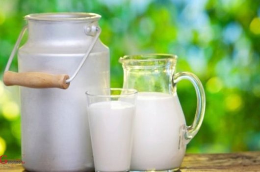 Trend pada proizvodnje mlijeka se nastavlja